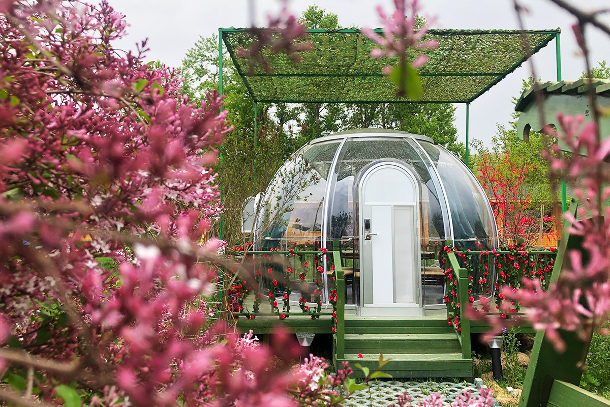 透明星空房，可打造不同类型的住宿！(图1)