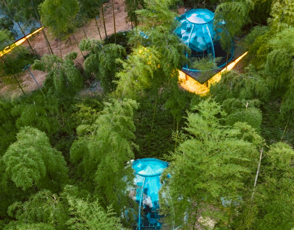 清明踏青，与星空房一起漫步竹林森呼吸(图1)
